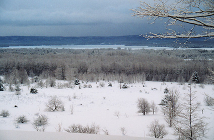 Snowy View